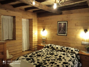Apartamentos Caleros